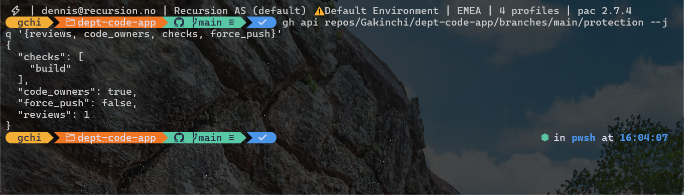 Terminal: the GitHub API shows branch protection on main with one required review, code owner reviews, the build check and no force push